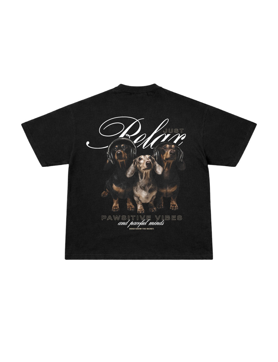 Camiseta Dachshund Relax Black - Back