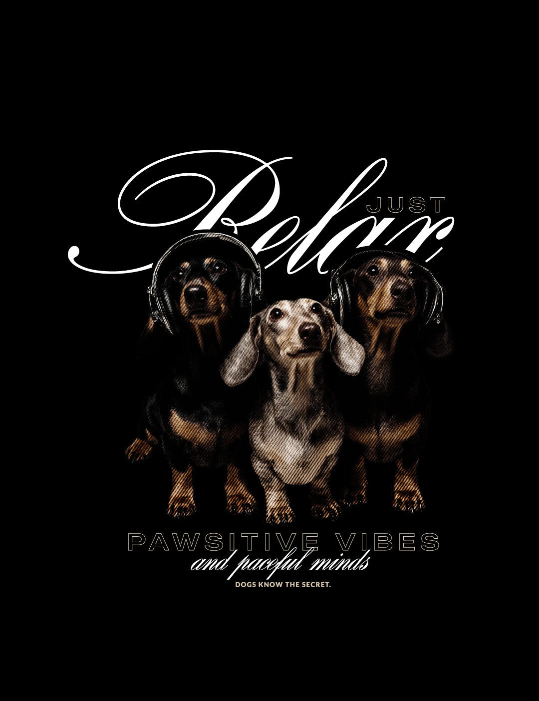 Camiseta Dachshund Relax Black - Design