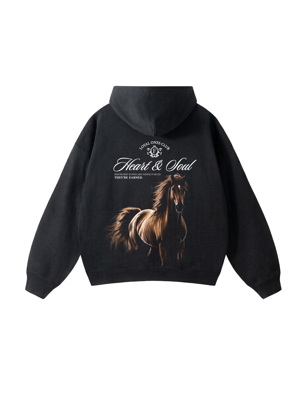Hoodie Heart and Soul Black - Back