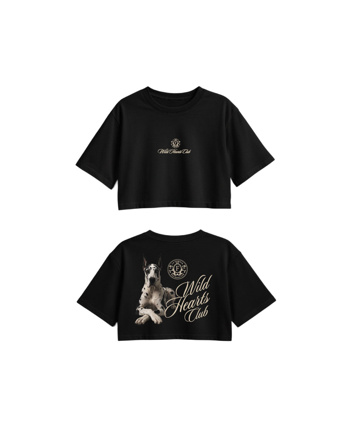 oversized