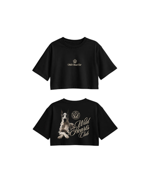 C-Top Wild Hearts Black - Front and Back